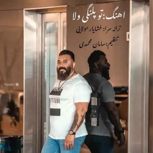 تو پلنگی ولا